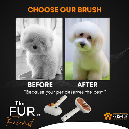 3-in-1 Cat Spray Brush with Built-In Water Tank – Anti-Static Steam Grooming Brush with One-Button Self-Cleaning for Long & Short Hair Cats